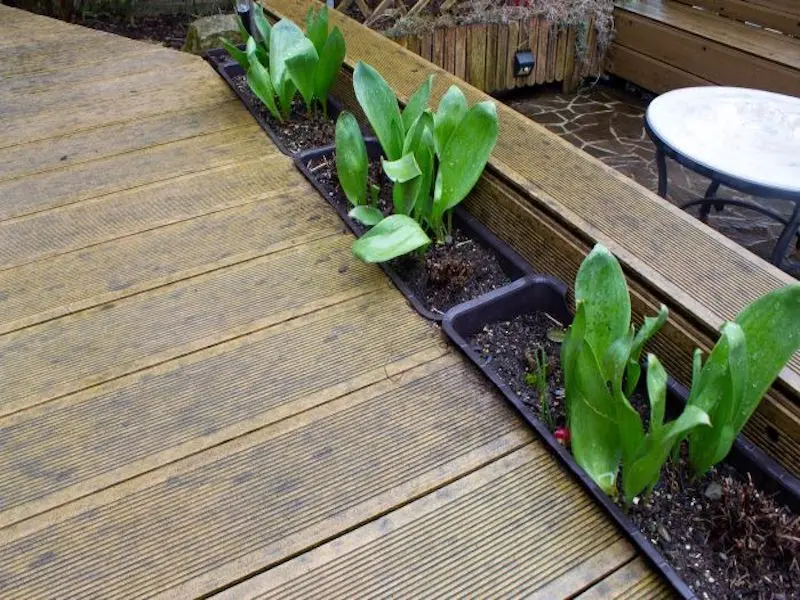 https://compotechsolution.com.au/does-mould-grow-on-composite-decking/